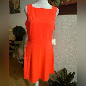 1. State mini dress size 4